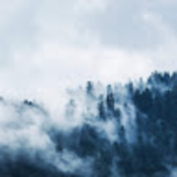 Meet your Posher, Grace - Picture 1 of 1